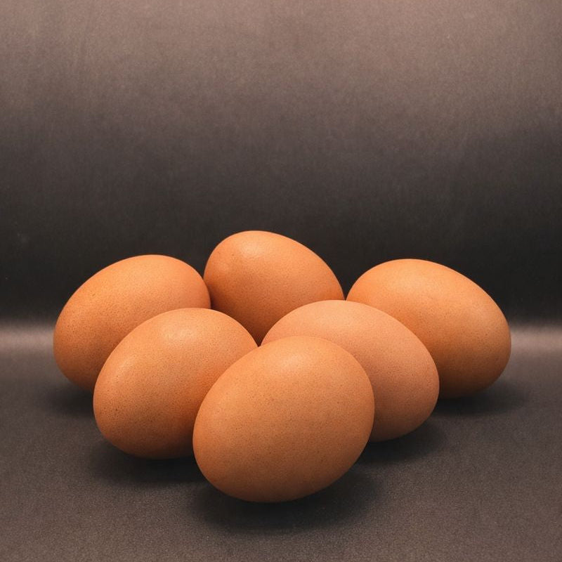 Ovos XL