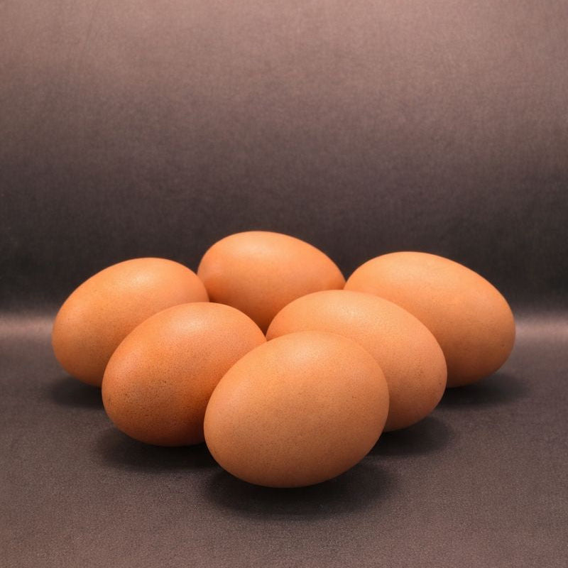 Ovos L